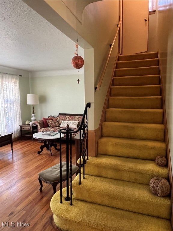 5232 Longton Road Lyndhurst OH 44124