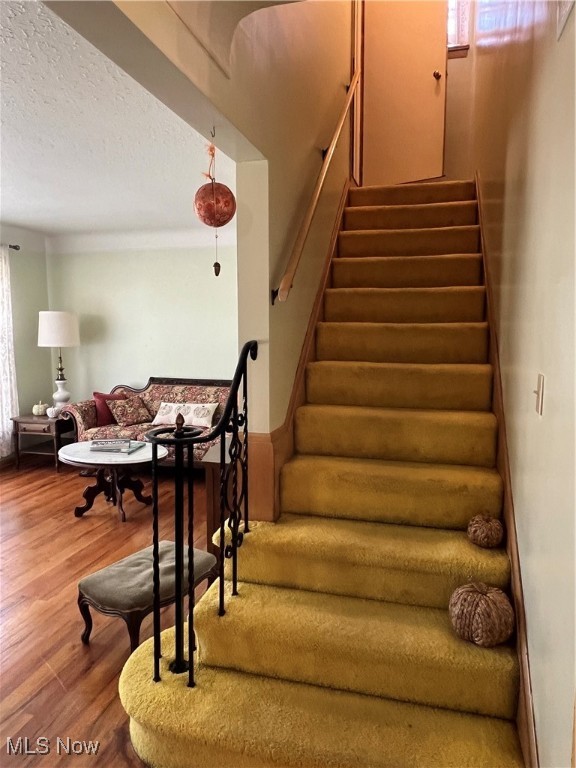 5232 Longton Road Lyndhurst OH 44124