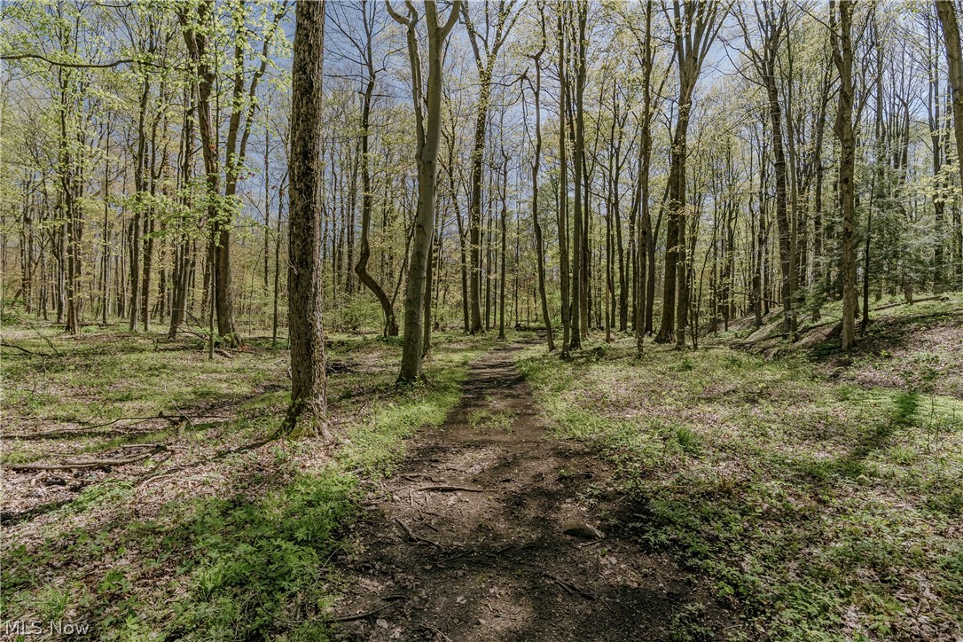 17091 Wing Road Chagrin Falls OH 44023
