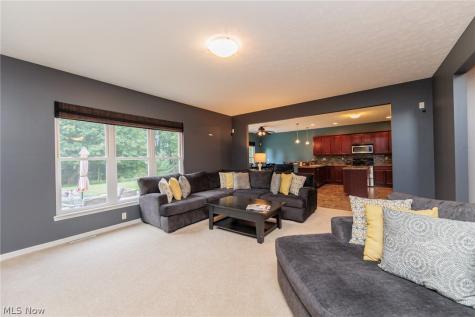 27078 Waterside Drive Olmsted Twp OH 44138