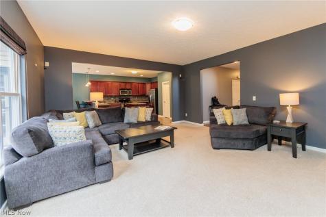 27078 Waterside Drive Olmsted Twp OH 44138