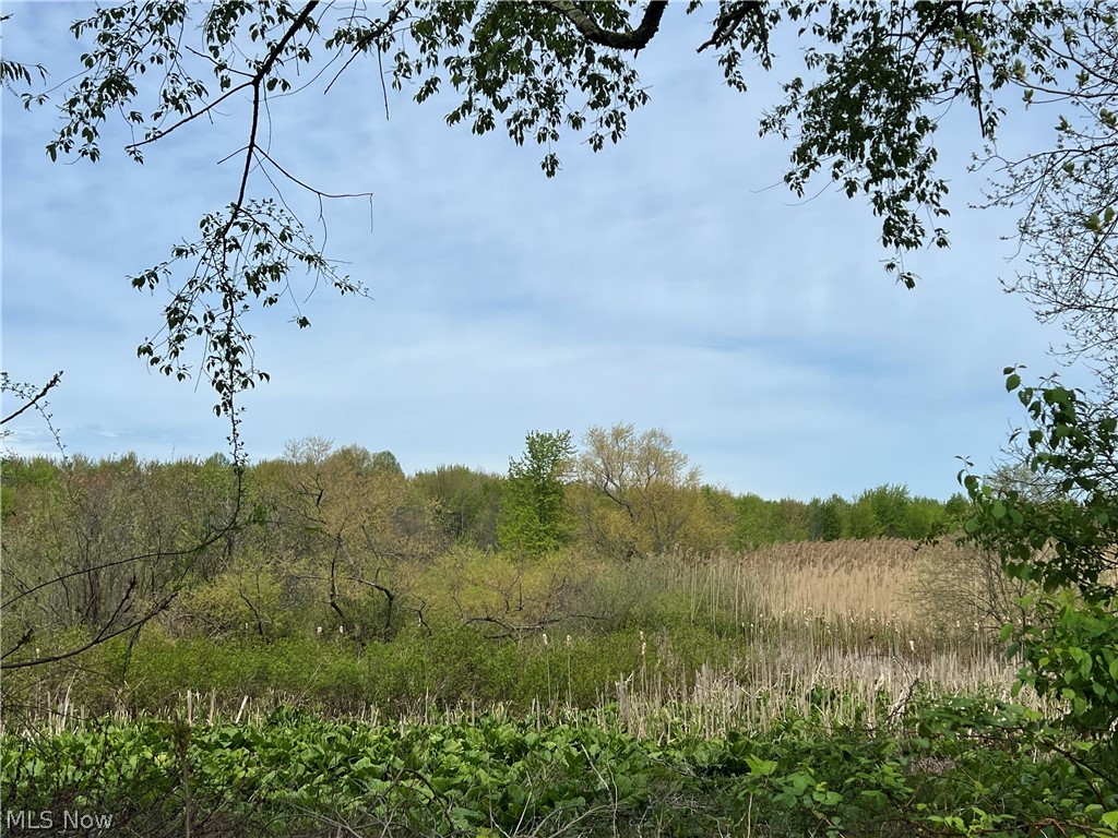 26 Daniels Avenue Conneaut OH 44030