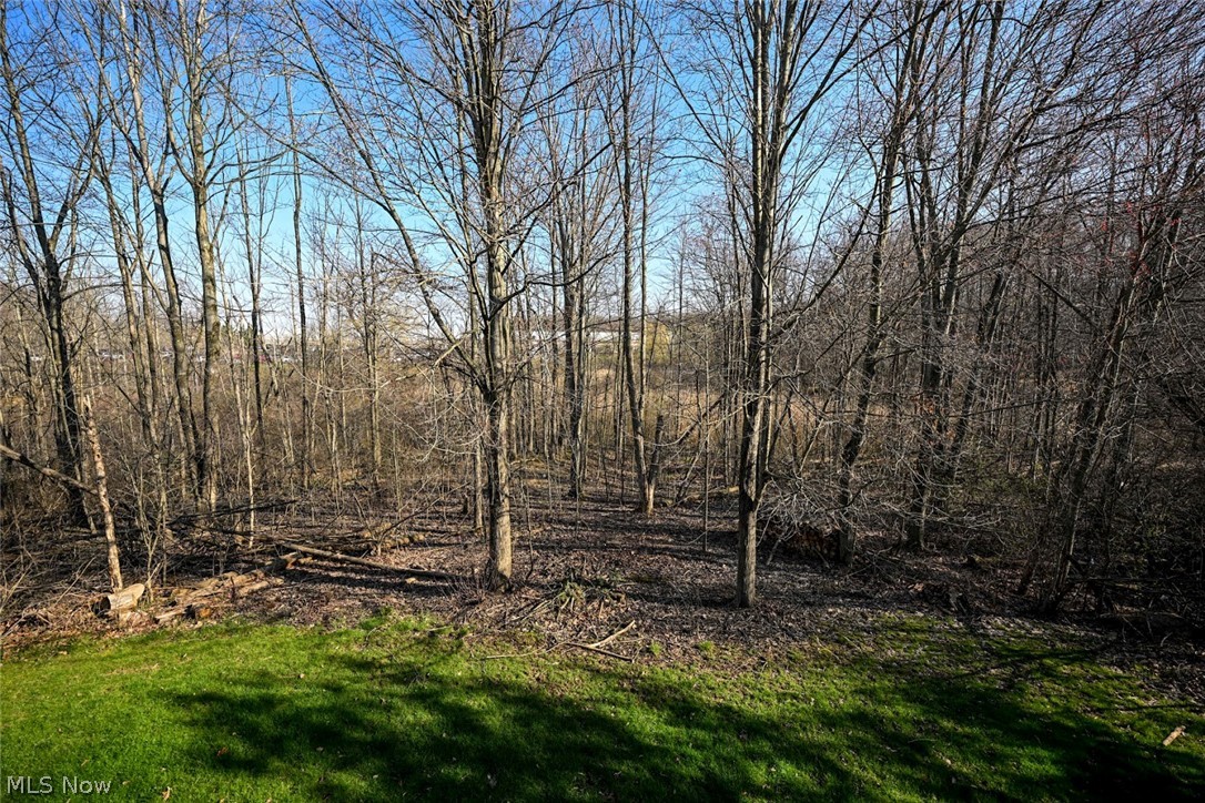 865 Holborn Road Streetsboro OH 44241