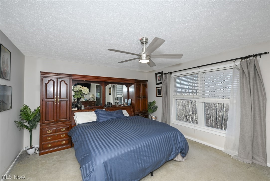 865 Holborn Road Streetsboro OH 44241