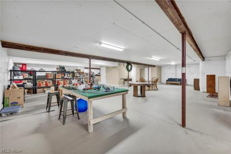 8139 Castleton Drive Mentor OH 44060