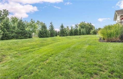 8139 Castleton Drive Mentor OH 44060