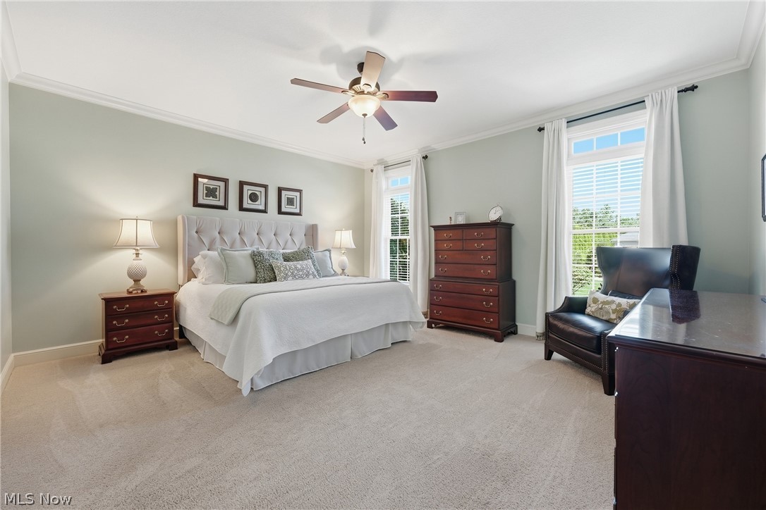 3800 Belle Terreno Way Canfield OH 44406