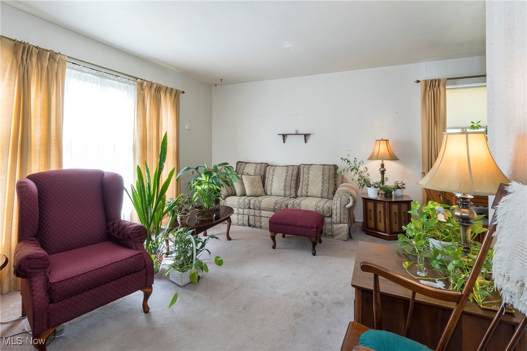 26471 Farringdon Avenue Euclid OH 44132