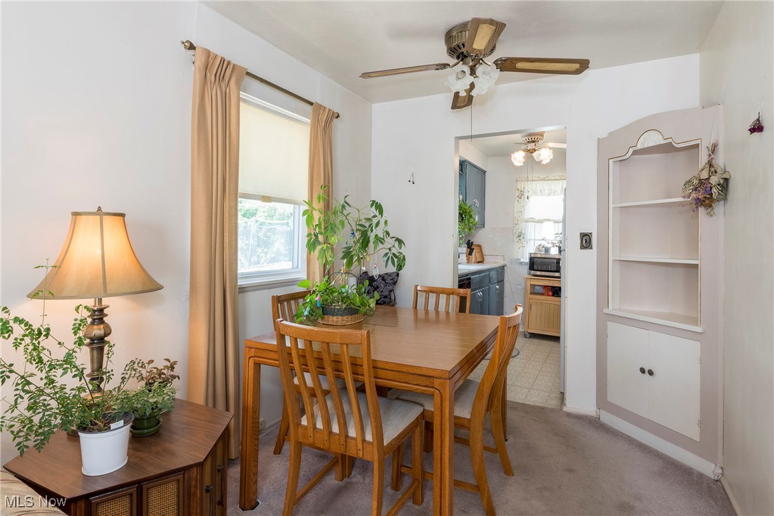 26471 Farringdon Avenue Euclid OH 44132