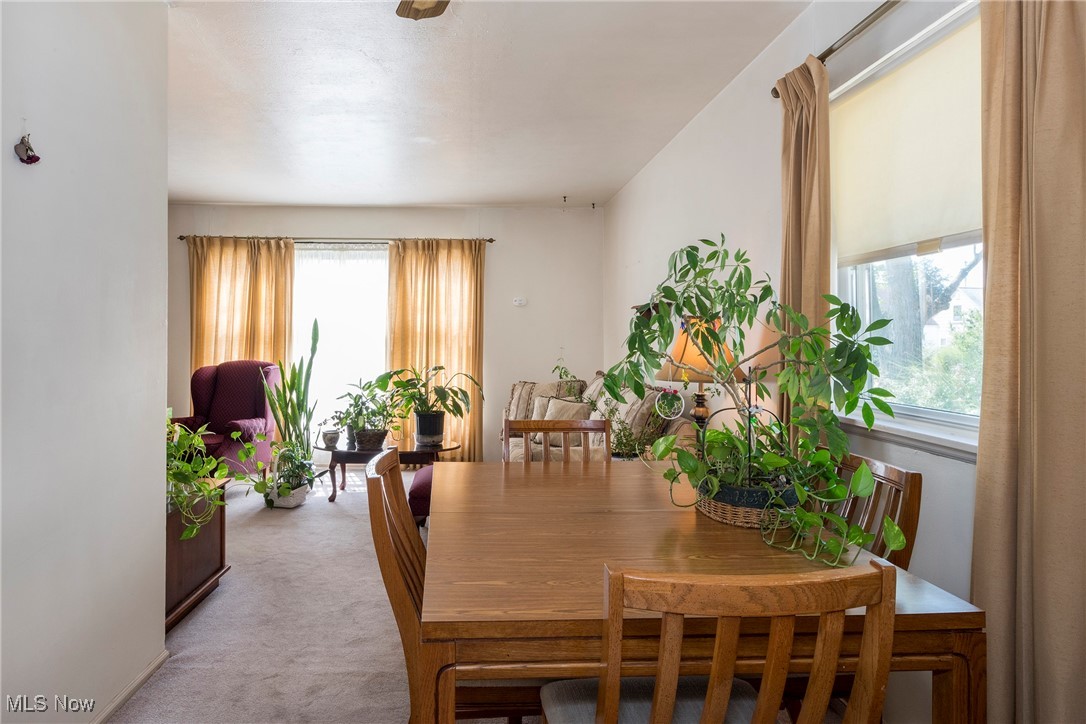 26471 Farringdon Avenue Euclid OH 44132