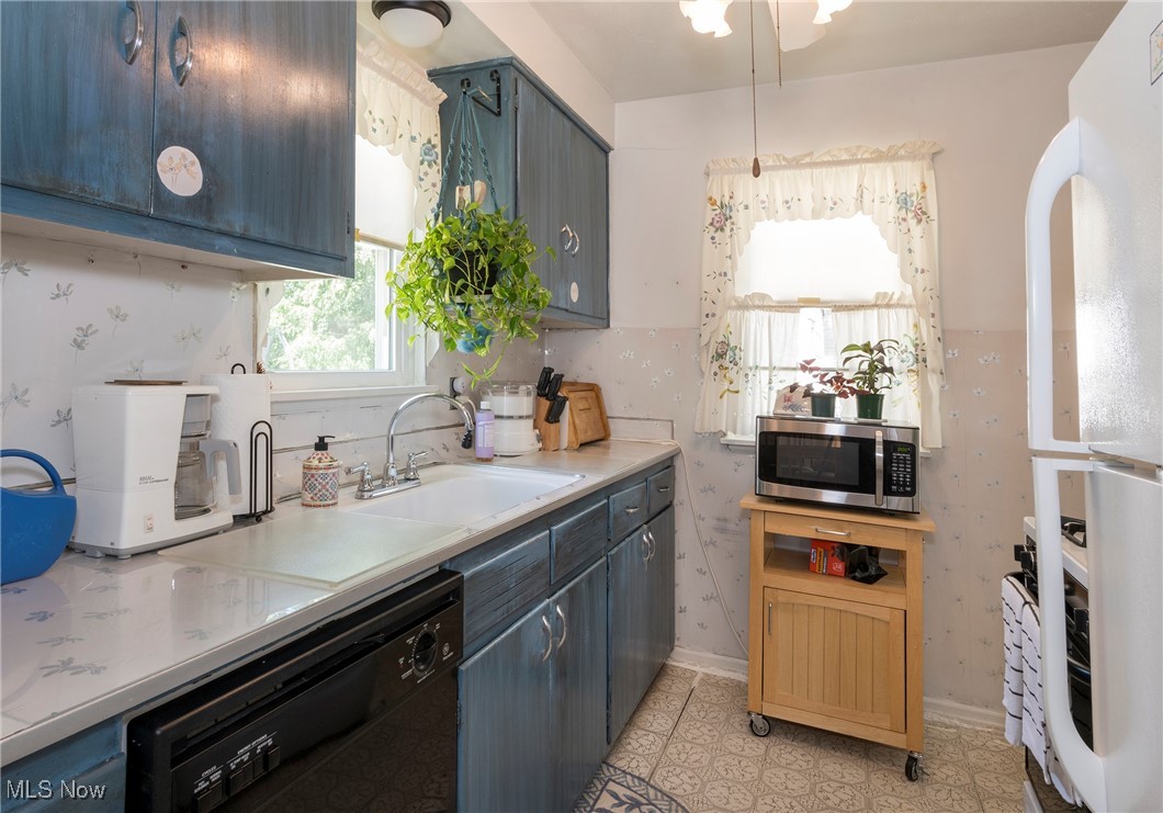 26471 Farringdon Avenue Euclid OH 44132