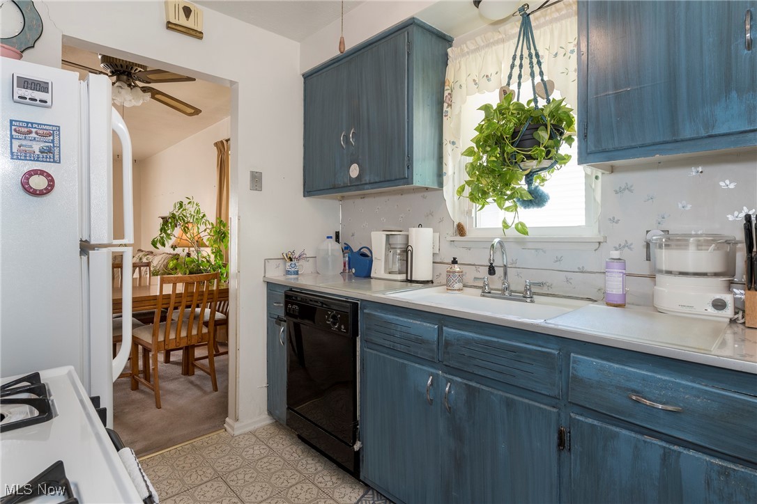 26471 Farringdon Avenue Euclid OH 44132