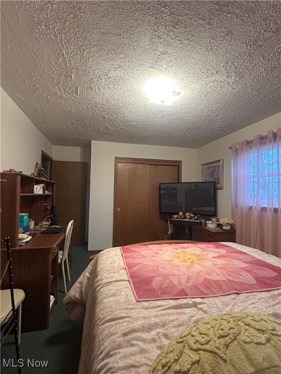 2242 S Mccoy Ridge Road Stockport OH 43787