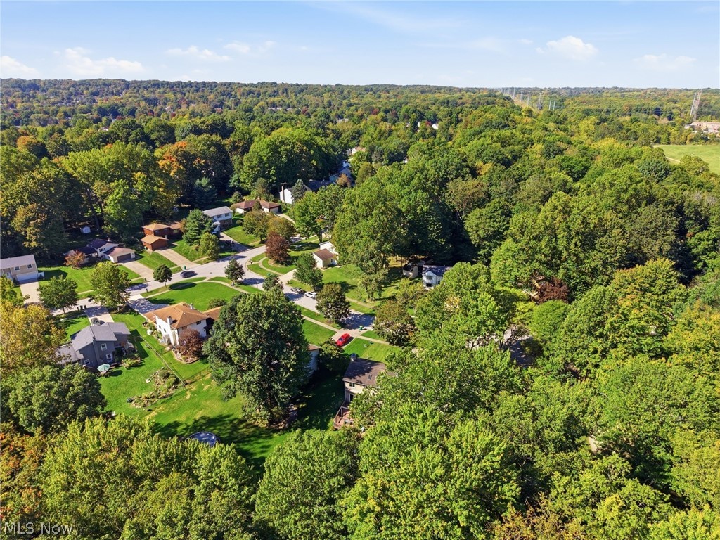 10459 Woodchuck Court Twinsburg OH 44087