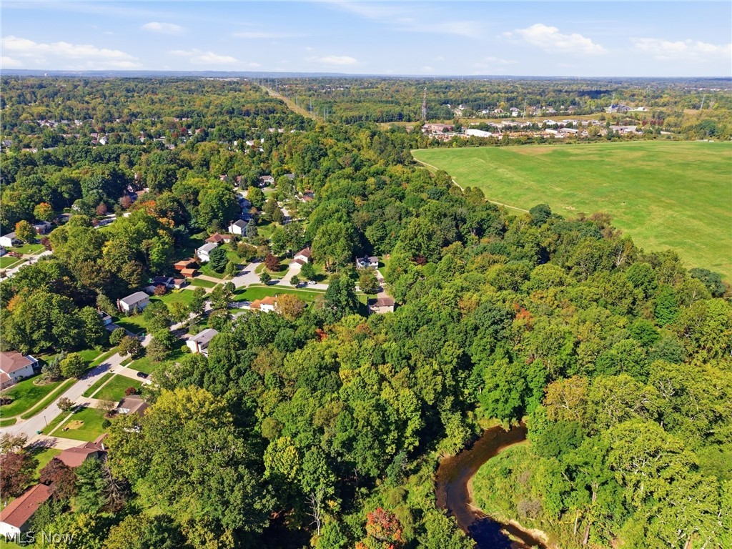 10459 Woodchuck Court Twinsburg OH 44087