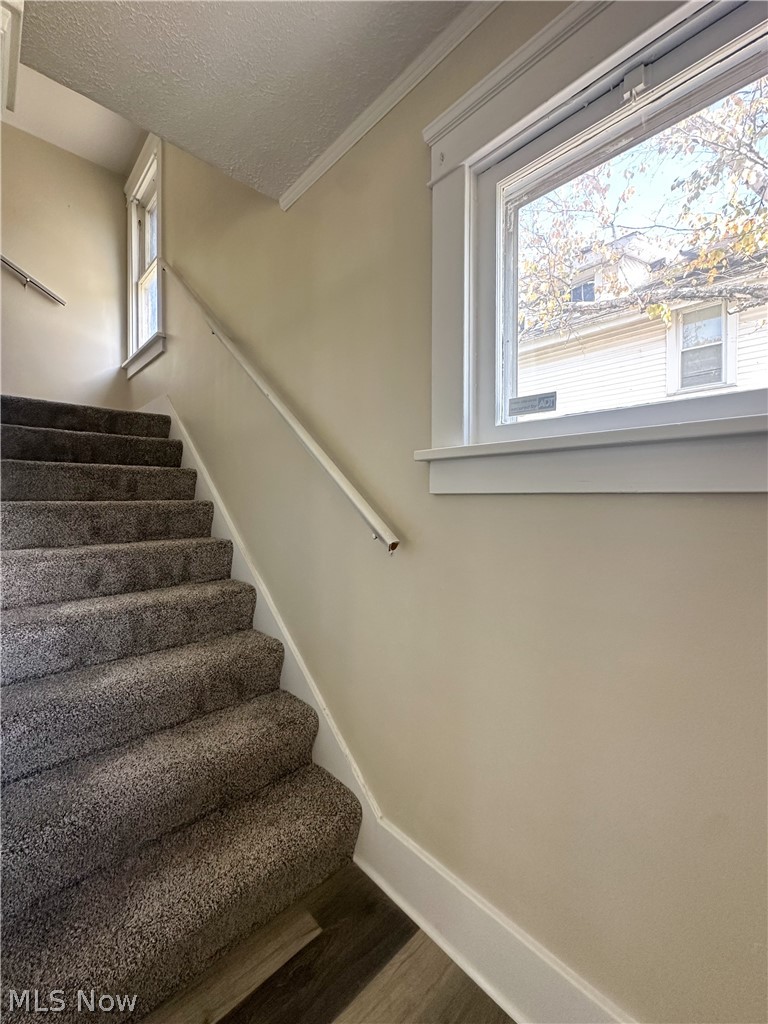 23 Helen Avenue Niles OH 44446