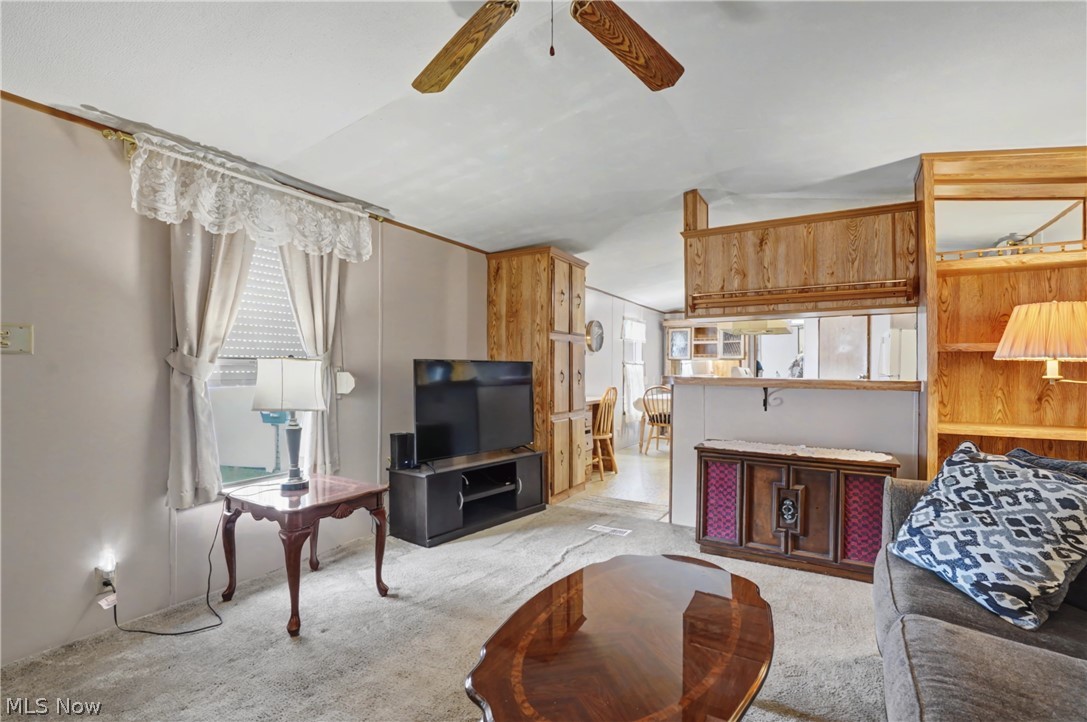 1517 Lady Anne Streetsboro OH 44241
