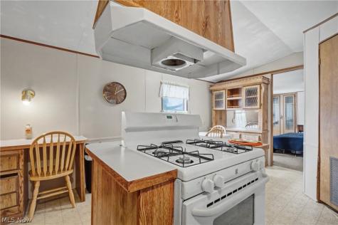 1517 Lady Anne Streetsboro OH 44241