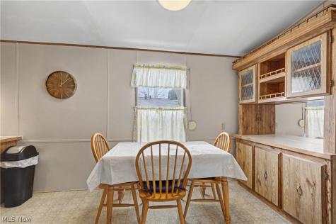 1517 Lady Anne Streetsboro OH 44241