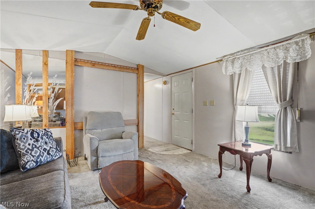1517 Lady Anne Streetsboro OH 44241