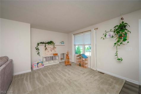 1422 Wood Fern Drive Akron OH 44312