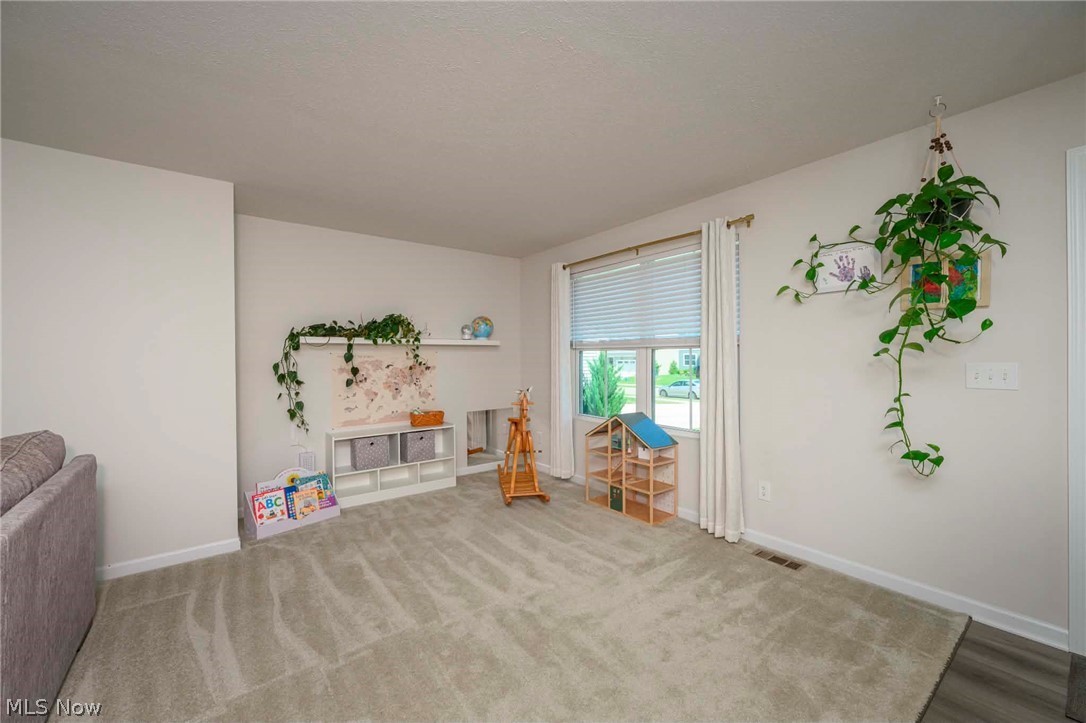 1422 Wood Fern Drive Akron OH 44312