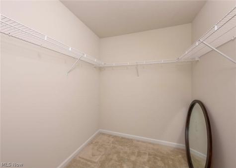 1422 Wood Fern Drive Akron OH 44312