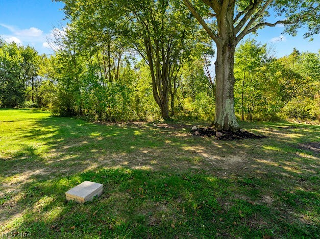 4541 Dobbins Road Poland OH 44514