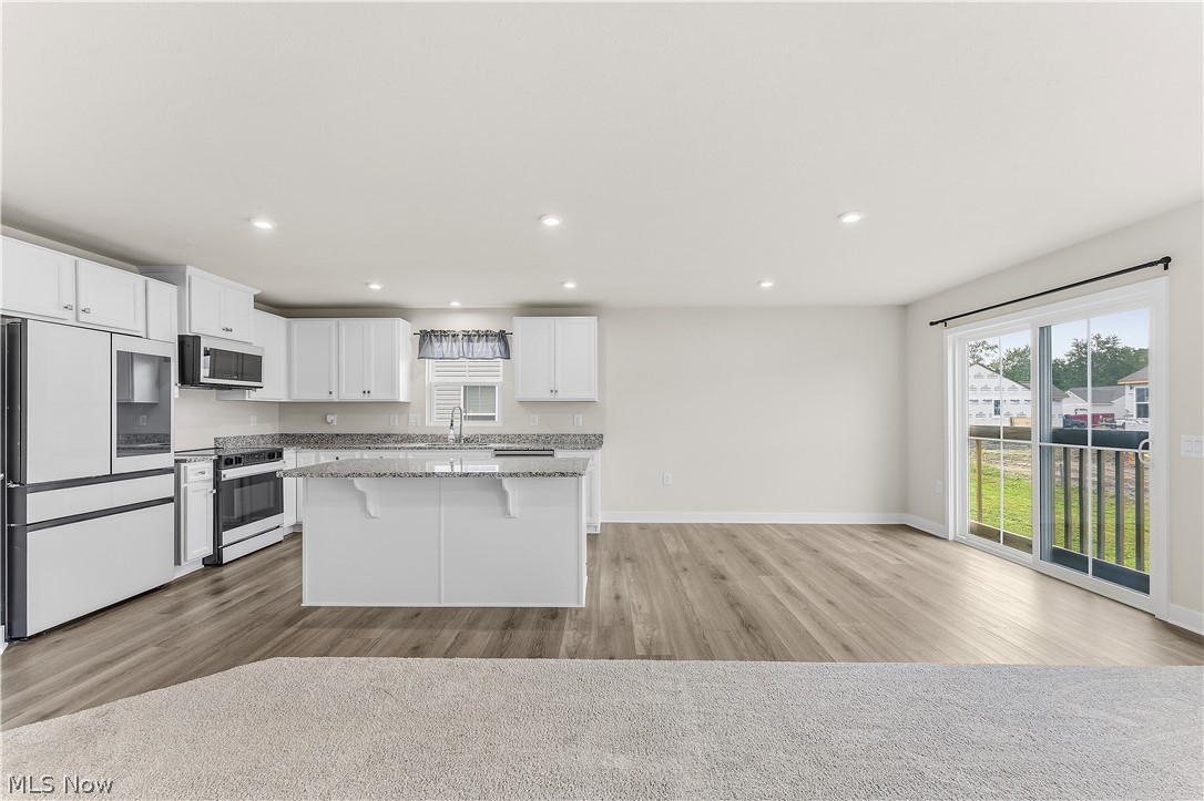 3808 San Giovanni Lane Perry OH 44081