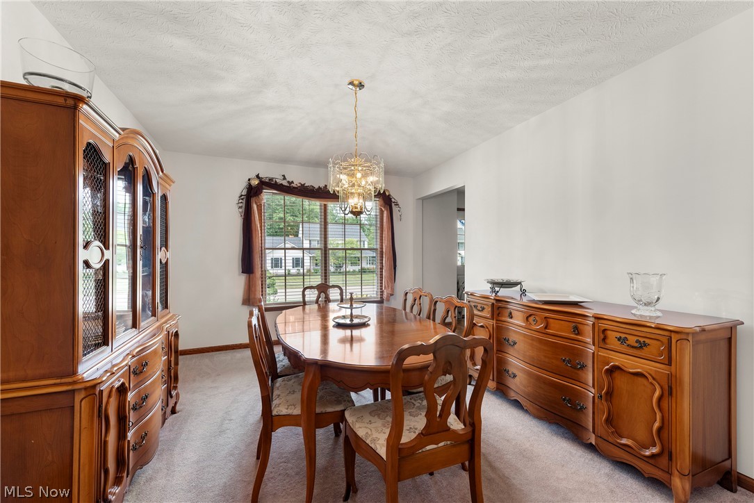 1016 Coopers Run Amherst OH 44001