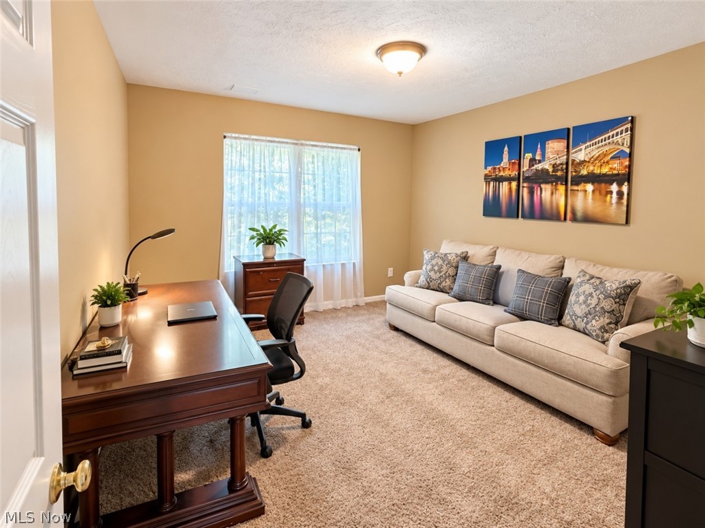 22639 Rushmore Drive Richmond Heights OH 44143