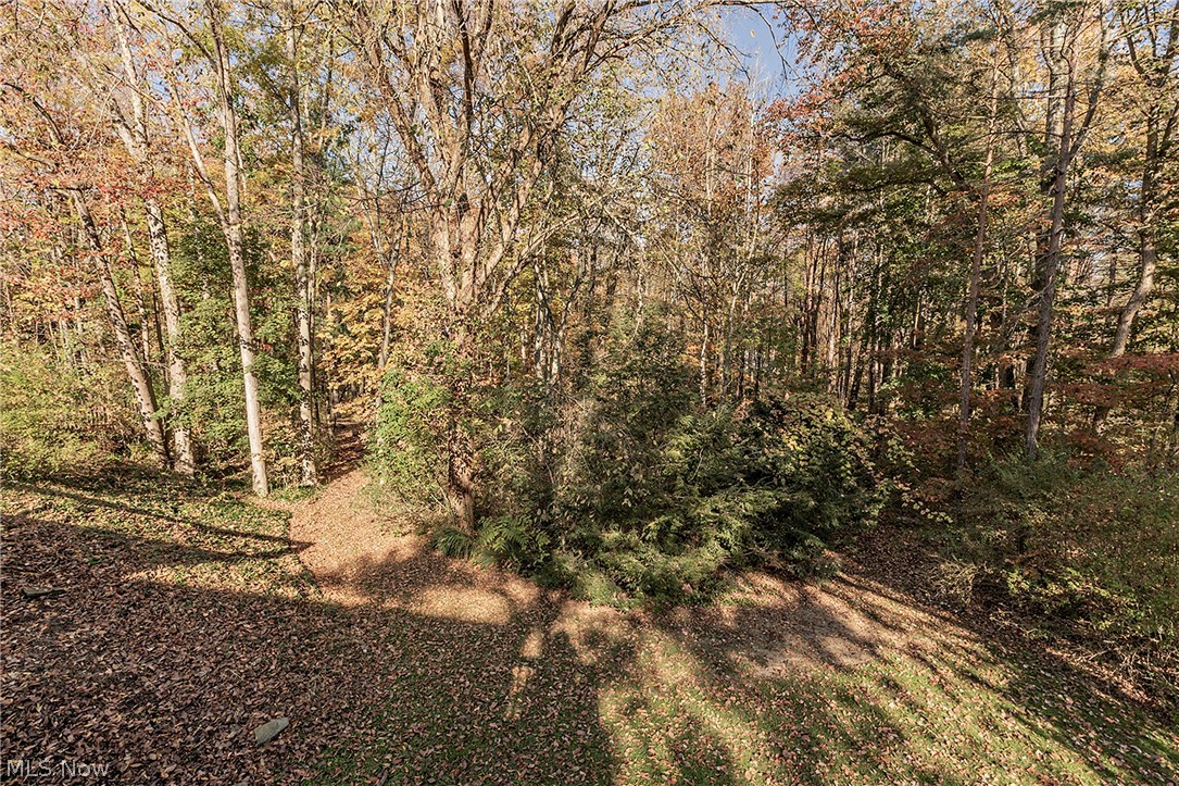 63 Kenton Road Chagrin Falls OH 44022