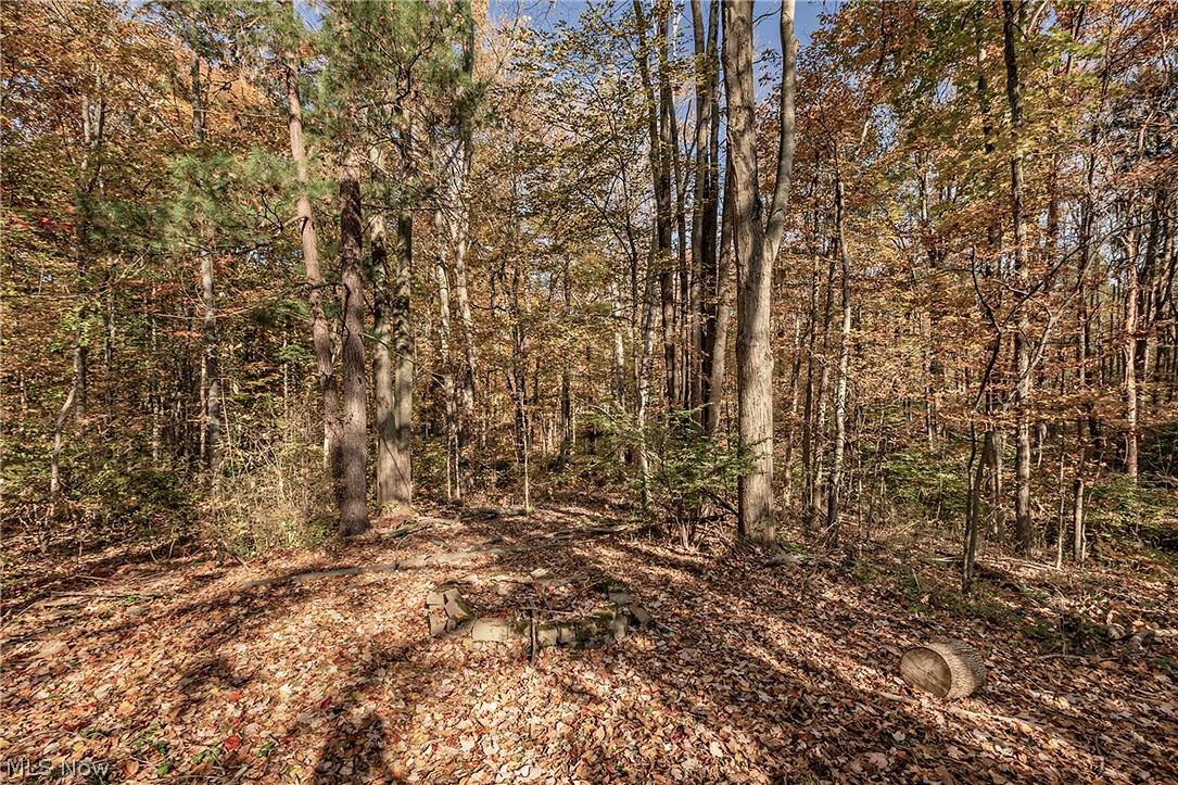 63 Kenton Road Chagrin Falls OH 44022