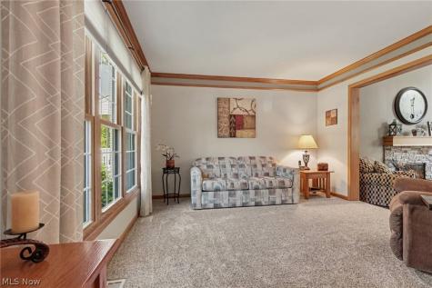 10273 Dayflower Drive Twinsburg OH 44087