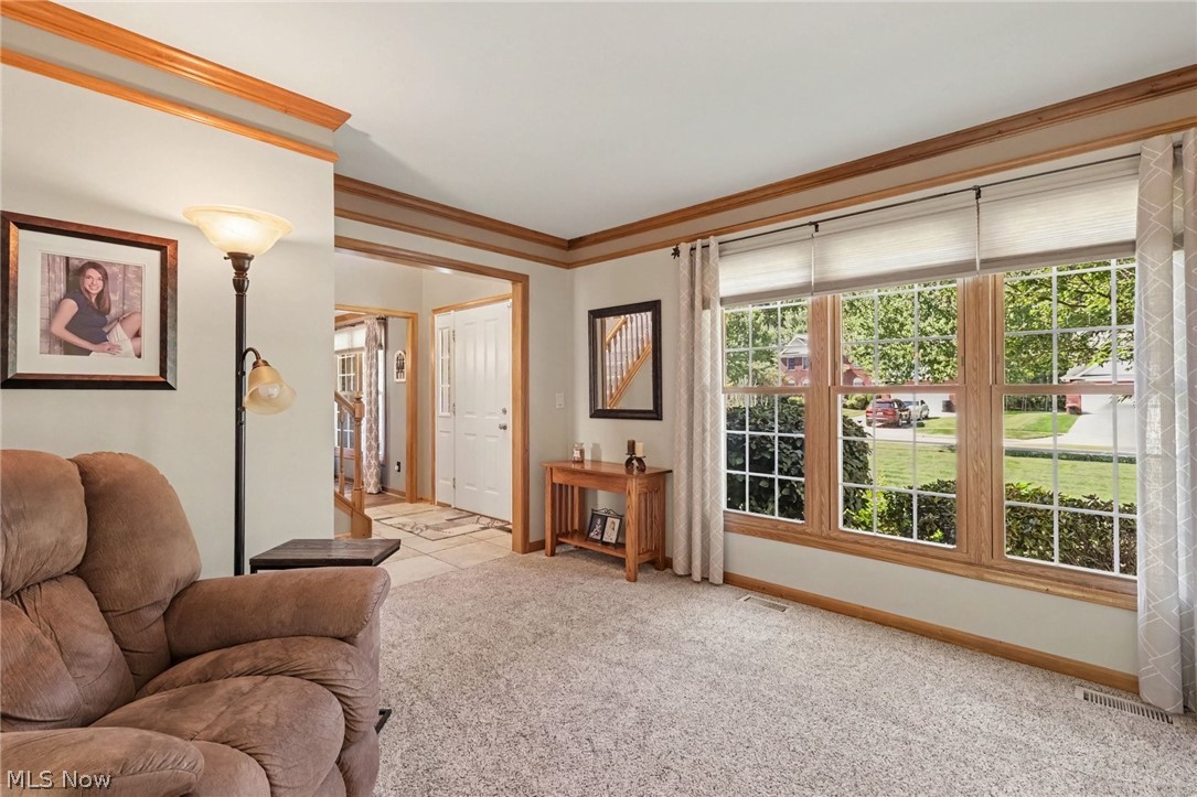 10273 Dayflower Drive Twinsburg OH 44087