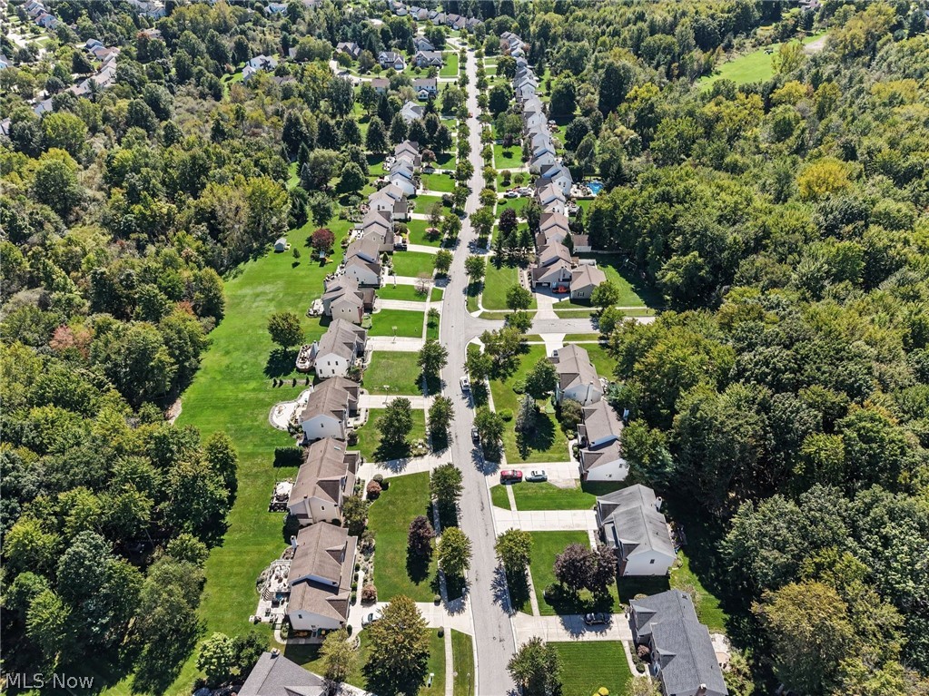 10273 Dayflower Drive Twinsburg OH 44087