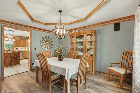 10273 Dayflower Drive Twinsburg OH 44087
