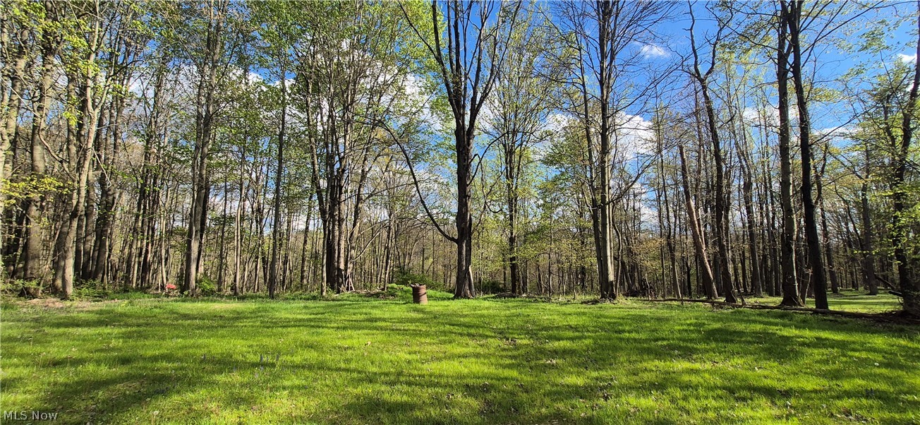 1263 Royalwood Road Broadview Heights OH 44147