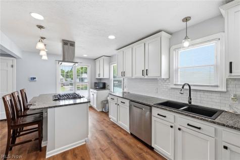 13101 Tyler Avenue Cleveland OH 44111