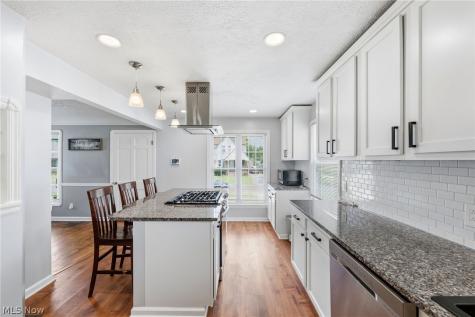 13101 Tyler Avenue Cleveland OH 44111