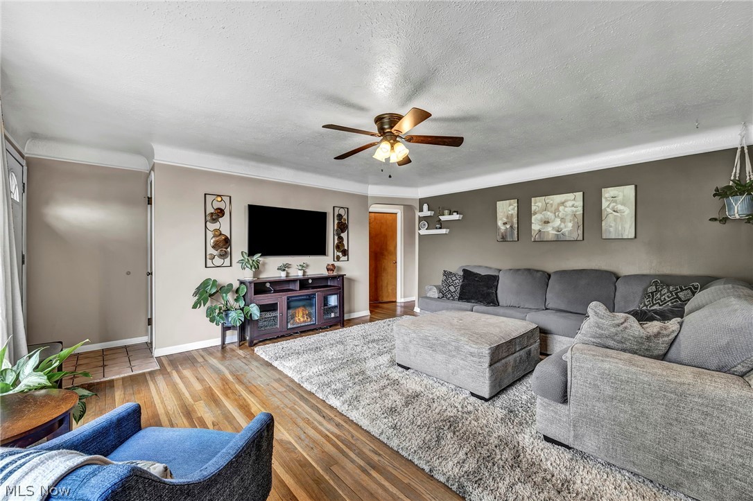 11908 Glamer Avenue Parma OH 44130