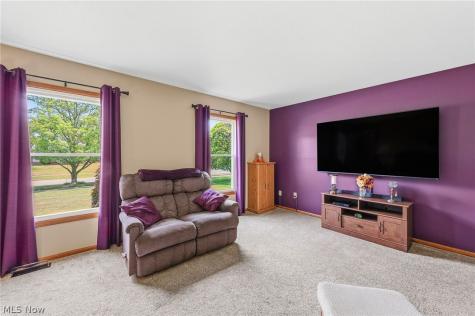 9569 Graystone Lane Mentor OH 44060