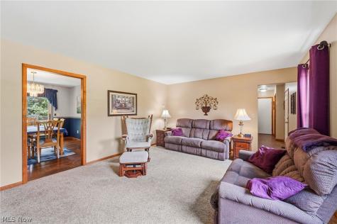 9569 Graystone Lane Mentor OH 44060