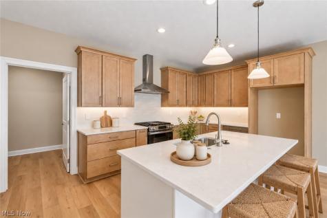 7157 Concordia Drive Independence OH 44131