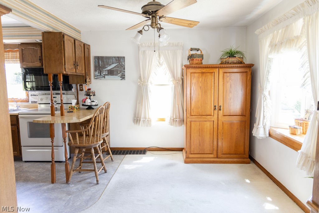 8 Driggs Lane Bridgeport OH 43912