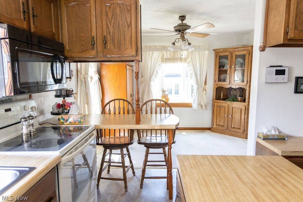 8 Driggs Lane Bridgeport OH 43912