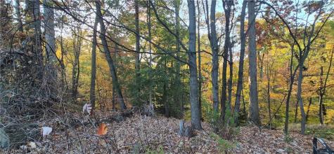 7096 Oak Lane Seven Hills OH 44131