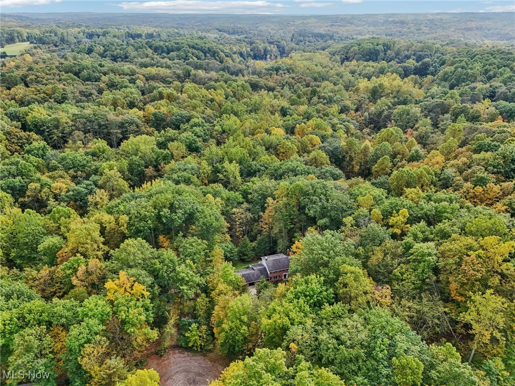 11574 Winterberry Lane Chardon OH 44024