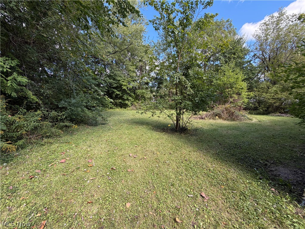 155 Federal Street NE Warren OH 44483
