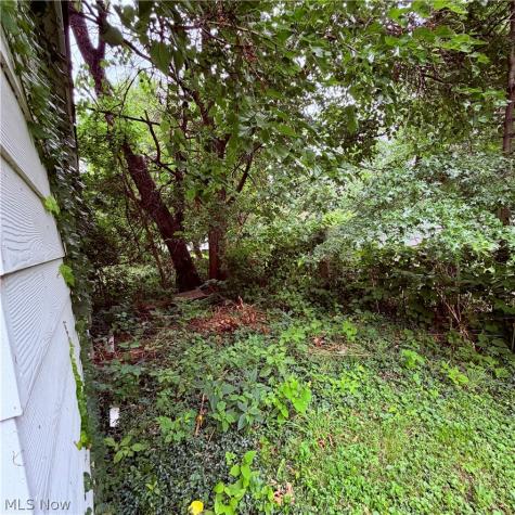 14307 Darley Avenue Cleveland OH 44110